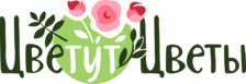 ЦвеТут Цветы