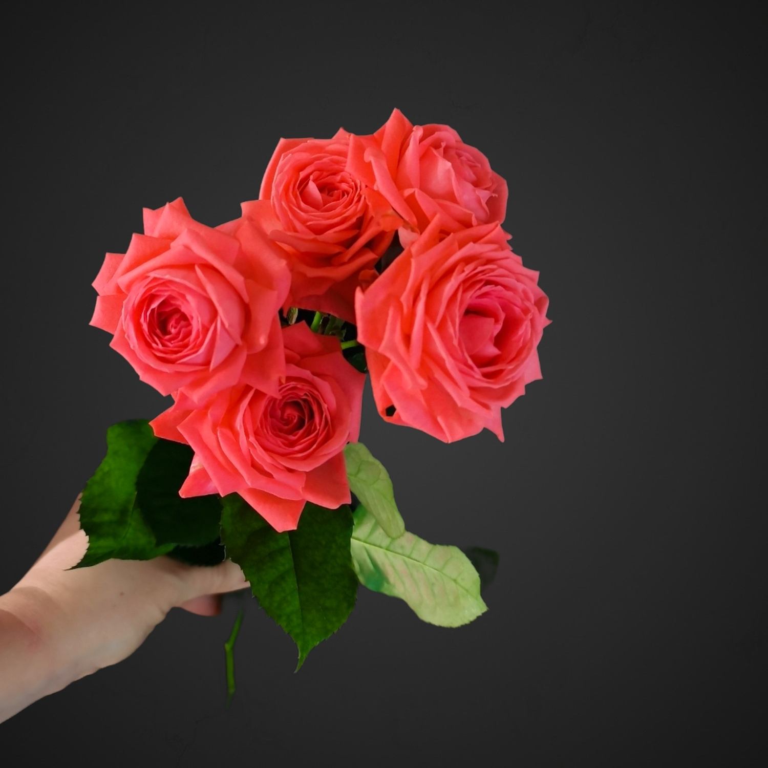 Роза Спрей Барбадос (лососевая)