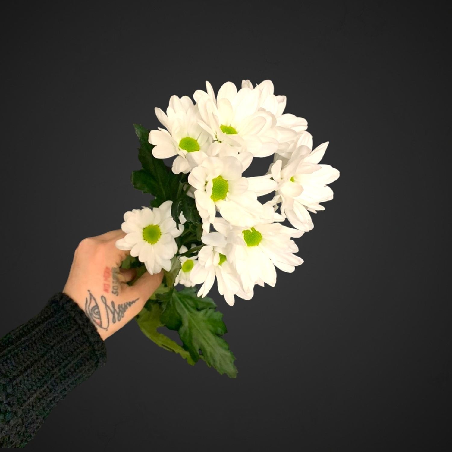 Хризантема кустовая ромашка