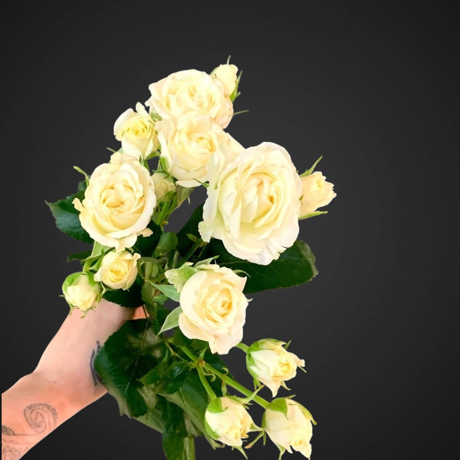 Роза Спрей Беларусь (белая)